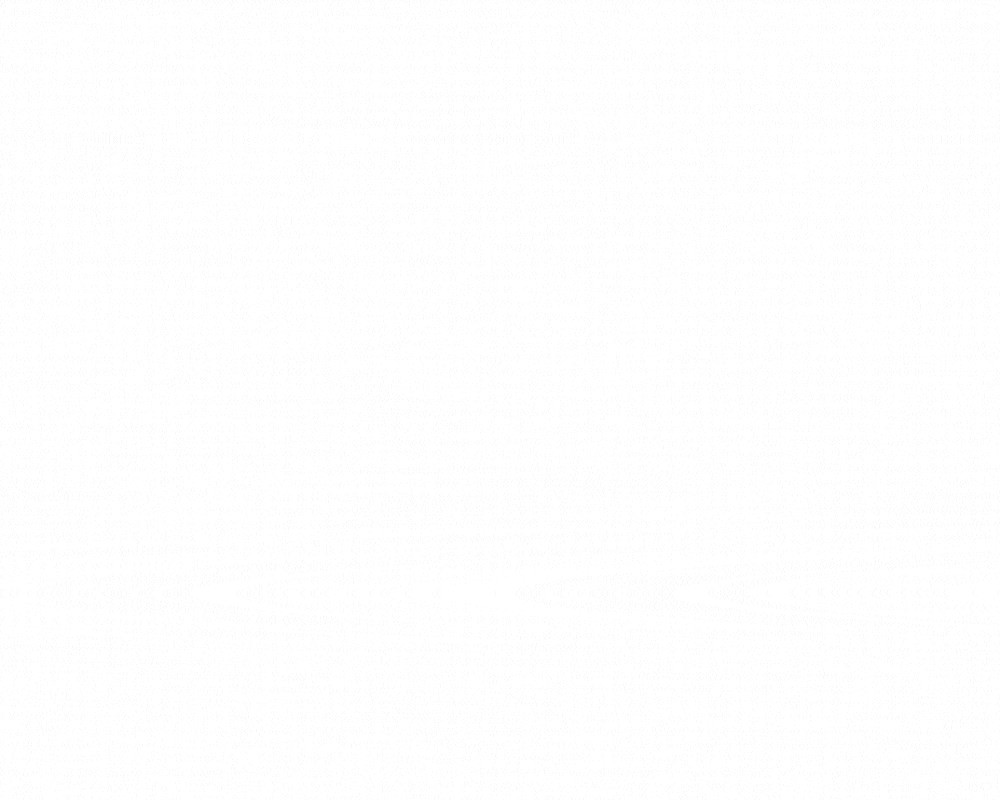 ss-white-10.gif