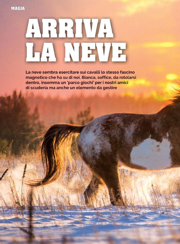 Il Mio Cav (Dic- 2021-Gen 2022) 1