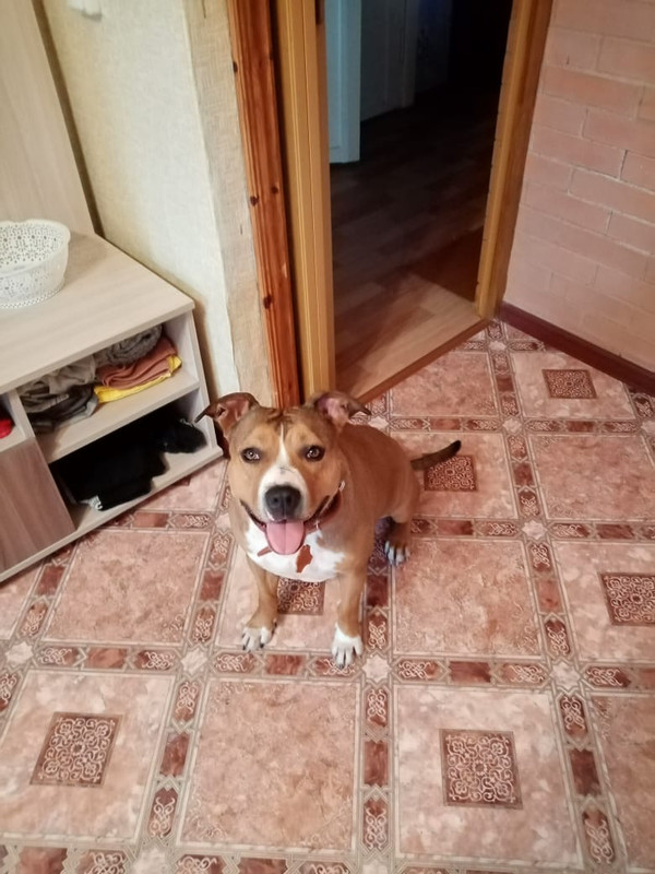 1E363861-5F86-4084-84B4-45B8CF58EA4B