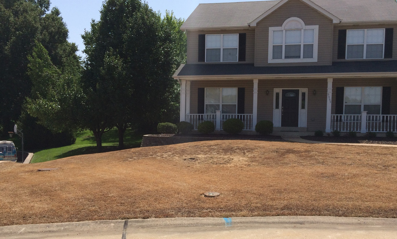 IMG_2230_zpsd0f0c98e