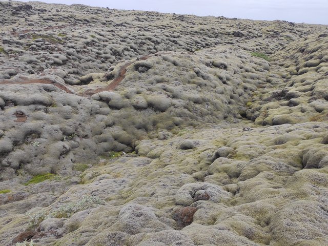 --Día 5 (26 julio): Vik -Laufskálavarda - Eldhraun - Fjadrárgljúfur - Kirkjugólf - Islandia 2020: En autocaravana y sin coronavirus (15)