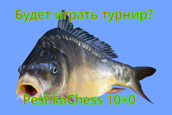 https://i.postimg.cc/FHfBQbQX/2025-08-27-15-49-25.png
