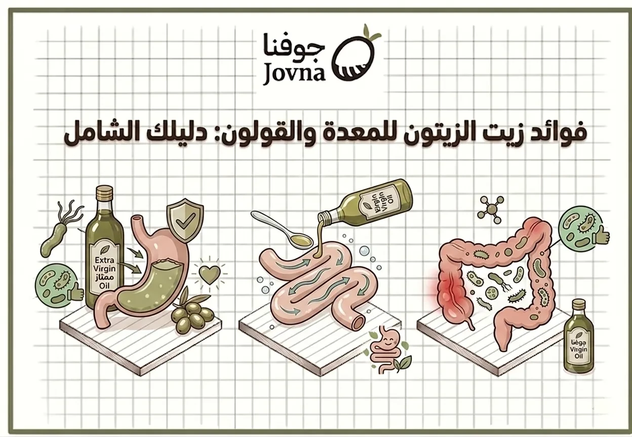 فوائد زيت الزيتون للمعدة