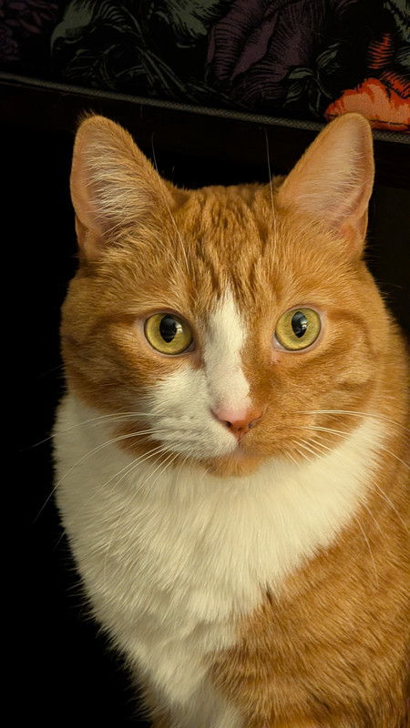 PXL 20260127 042731678