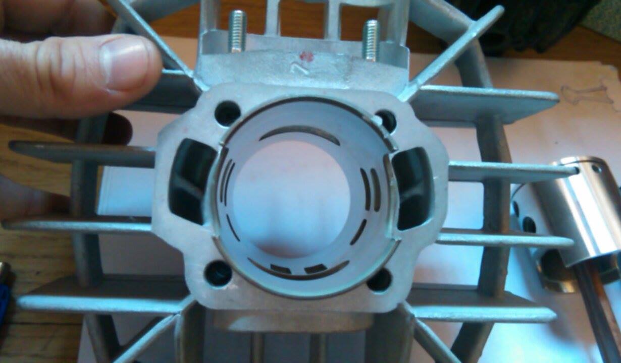 13016450_10209060191762493_640868140_o