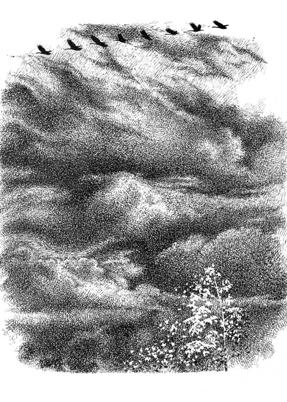 Belozerov-Timofej-Smorodinovyj-kust-1977-page-0062