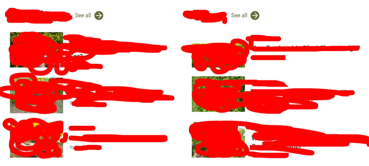 screenshot- 2