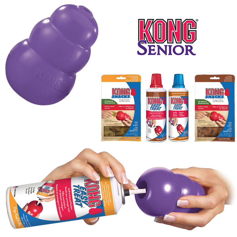 kong senior