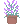 flwr1