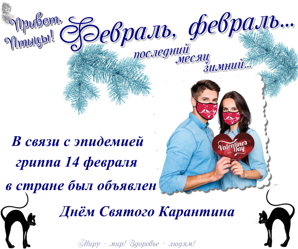 https://i.postimg.cc/FHfmNNVT/14-02.png