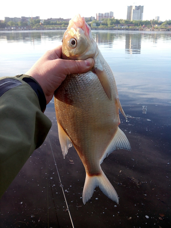 ул. 2-я Набрежная 18.05.15 г 05