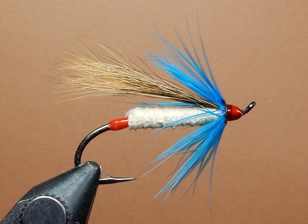 Blue_Fox1080.jpg