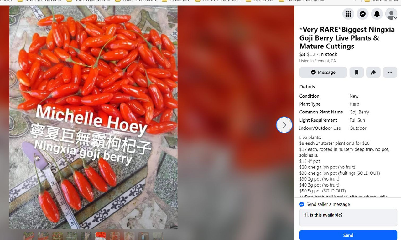 Hoeys-Goji-Berry-pic4