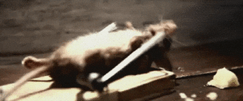 200-8.gif