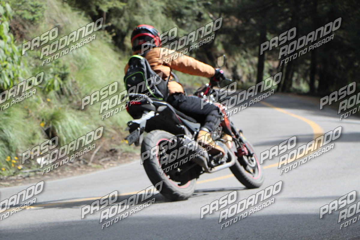 IMG 7918 wm 849022 7 watermarked — Postimages