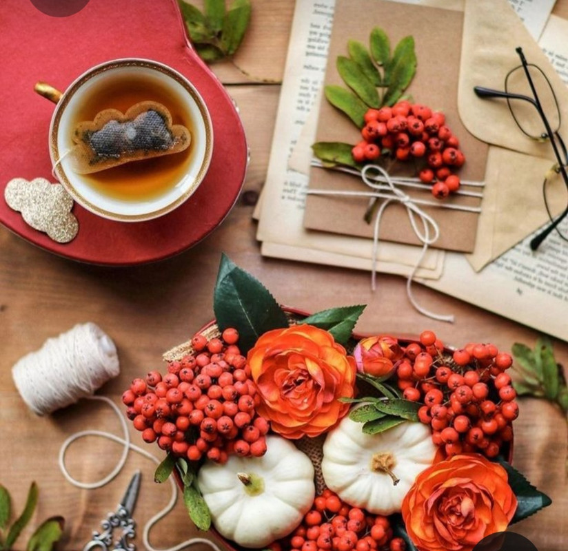 Screenshot_20230227_235830_Pinterest