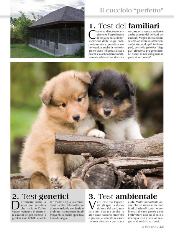 Il M C Lug-Ago 2022 (11)