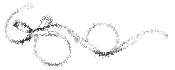 ribbon