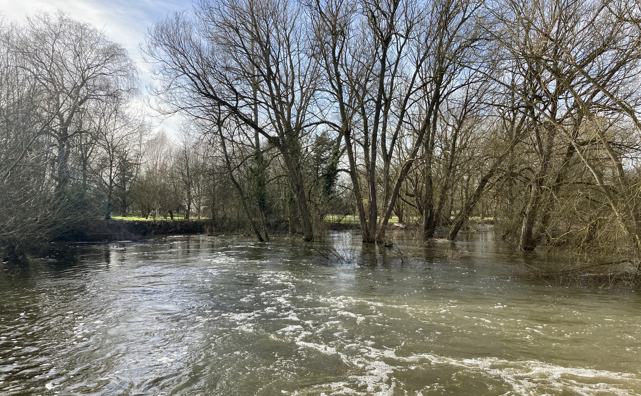 FDEA31A3-8E61-4D66-9E89-851C38D89946