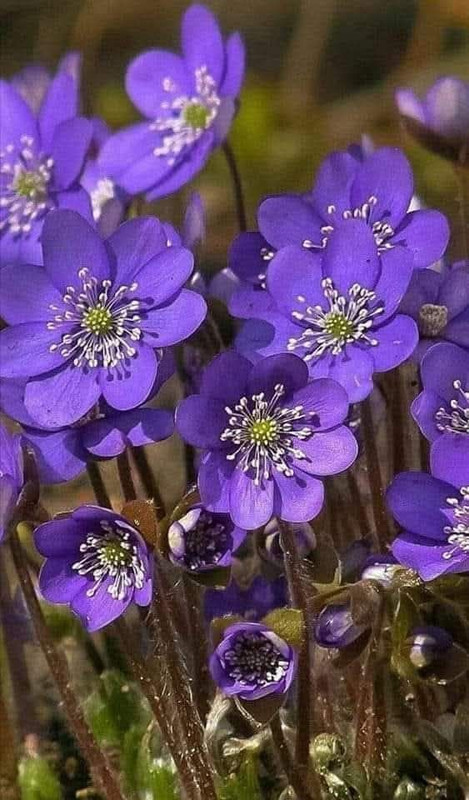 502631310-4115146208811089-4624570173547721510-n