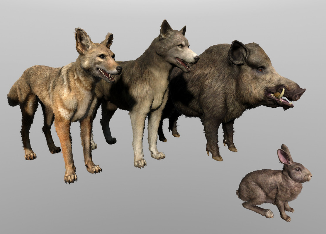 428609444_791301729699991_8468159268882004314_n