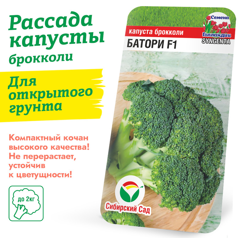 капуста брокколи батори