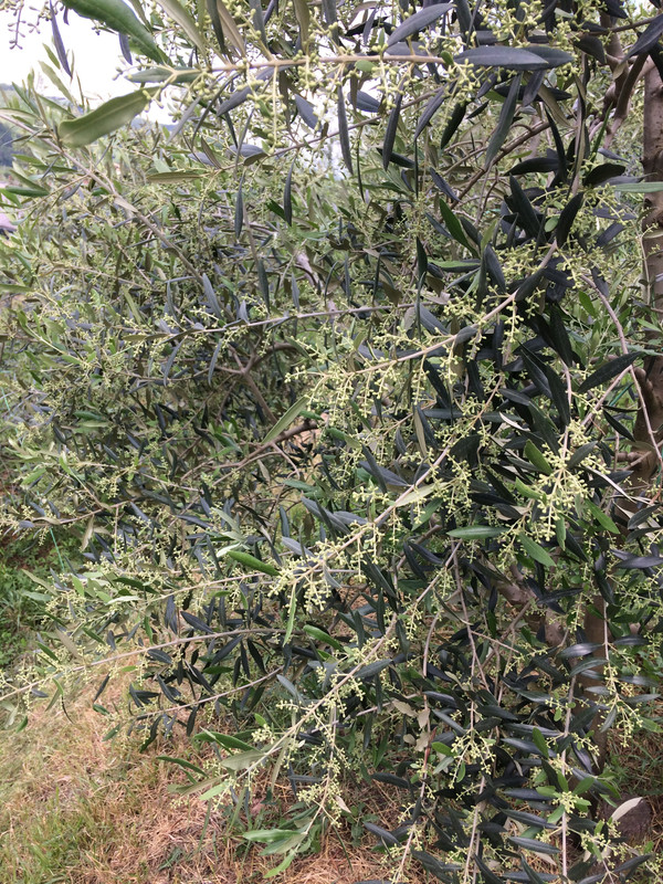 81F5CFC9-38A3-466B-8FD6-5142A983A613