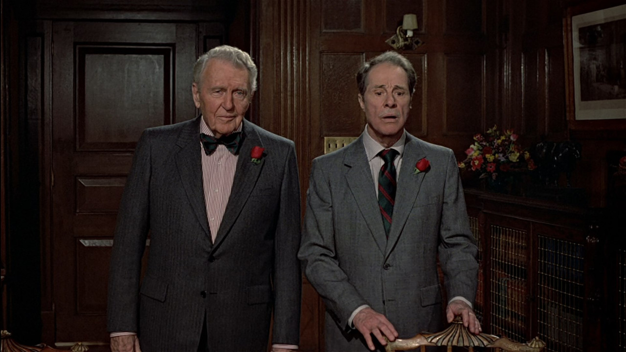 Trading Places 1983 (1080p x265 10bit Tigole).mkv_snapshot_01.14