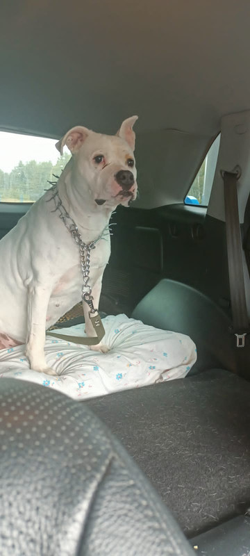 8494DAC6-ADC7-4CCF-889C-BB1FA9274930