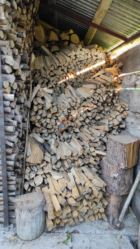 01.16 - IMG_20220616_072723 (Czesio1)