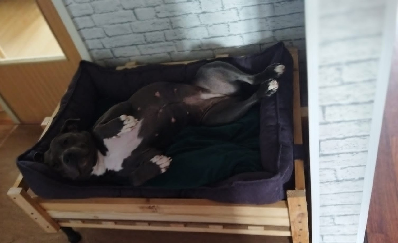 A43B33D9-FD20-4940-AA00-40A38ECB5358