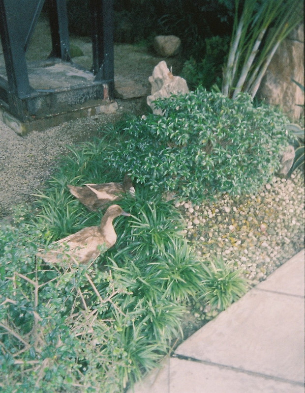 Vision3-HF-20-L-resize