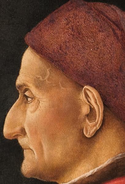 Milán-Turín-Génova-Pavía - Blogs de Italia - Pavía: la famosa batalla y sus torres medievales (160)