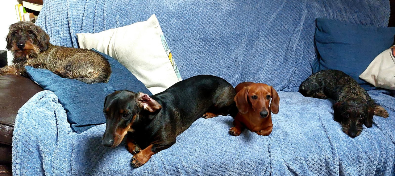 [Image: IMG-20250528-072731.jpg]