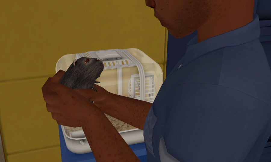 Sims2-EP9-2021-03-20-21-31-51-72