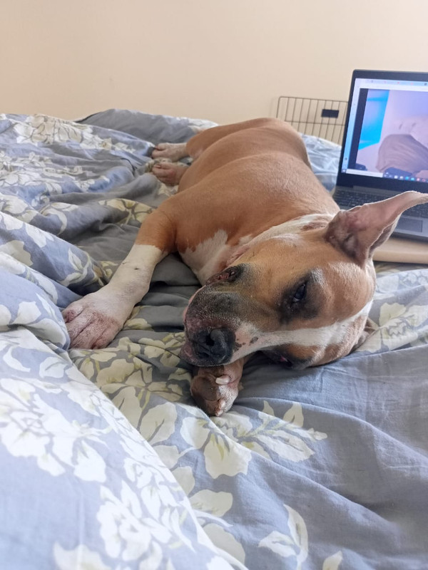 42402EFA-B922-4A66-A996-928427CF6EAC