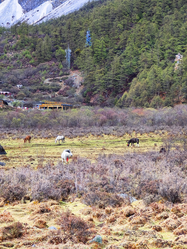 IMG_20230520_163621_副本