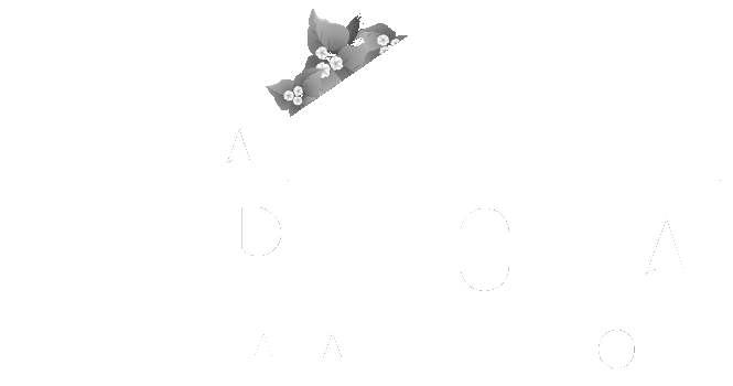 Vista Hermosa