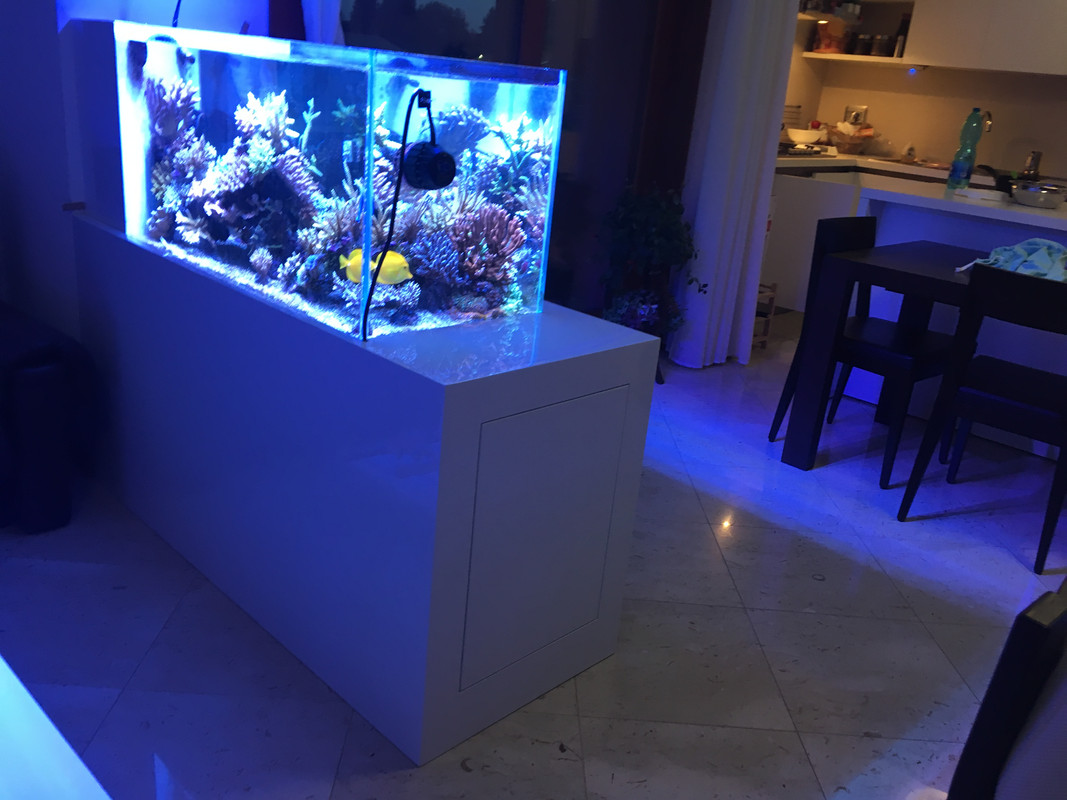 6020332B-6AAD-495A-A31F-449E373E914A