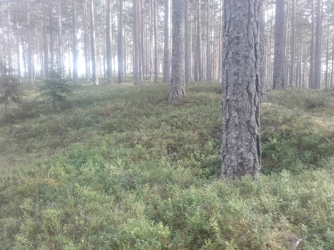 20170812_174818