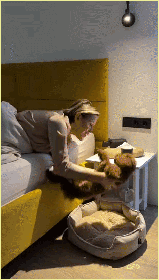 130326-chien-embetant-au-lit