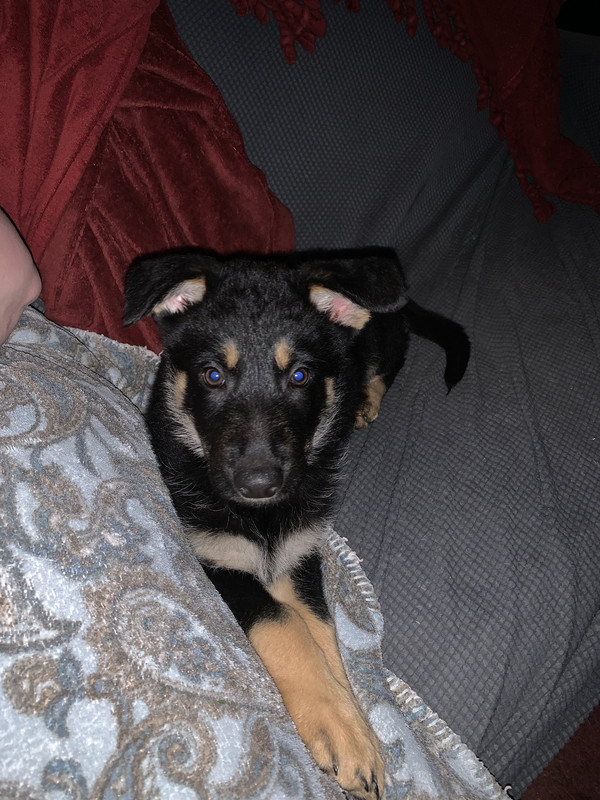 3AE8BE13-A677-40F8-91AC-481E8587349B