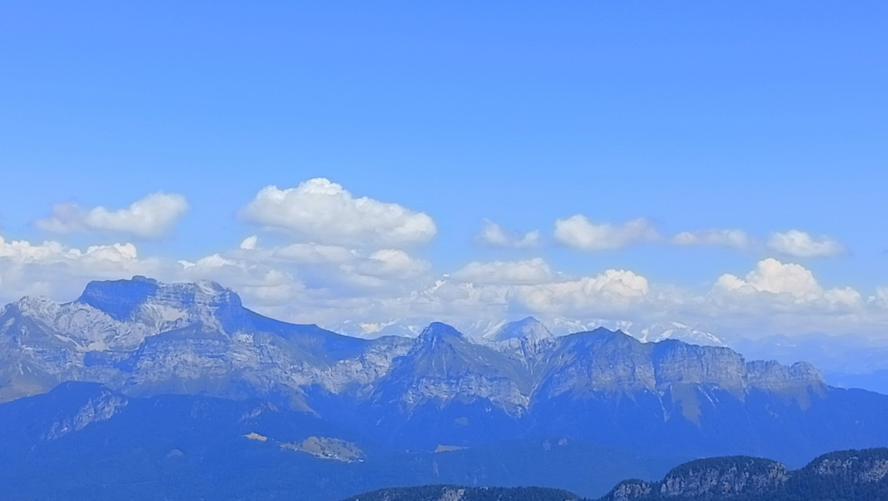 IMG20250711142455 (Large)