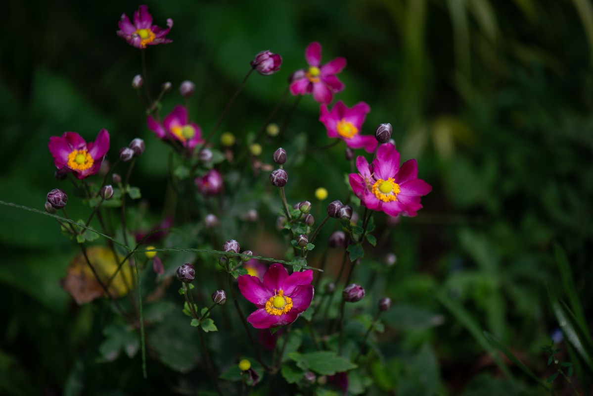 IMG-a6cc8a83d759860f571173edb7f30ecb-V