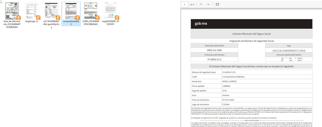 Скриншот 19-11-2024 174528