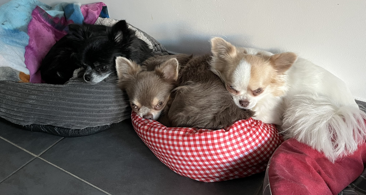 [Image: IMG-2825.jpg]