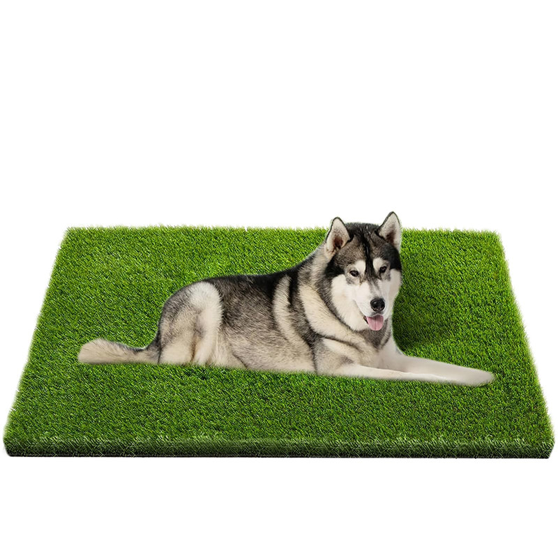 CooZero Artificial Grass Dog Potty Mat 47.3x31.5