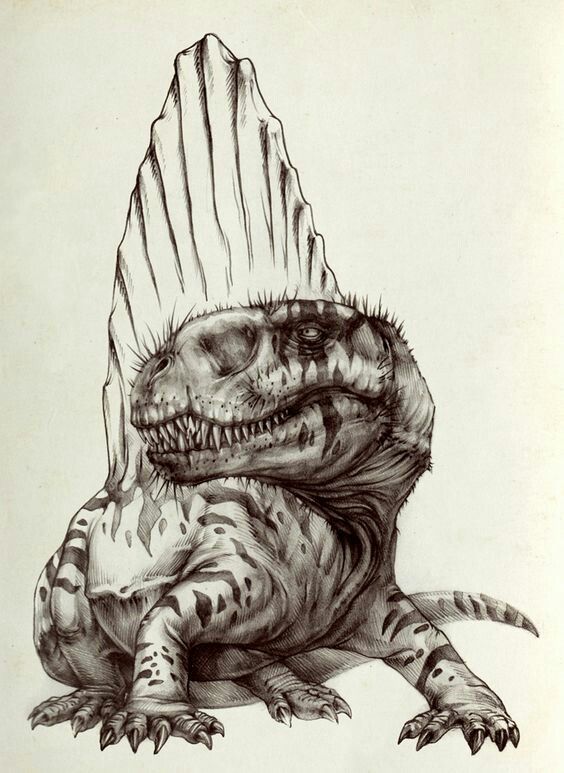 f709c834a516577698c8d19f79adad78