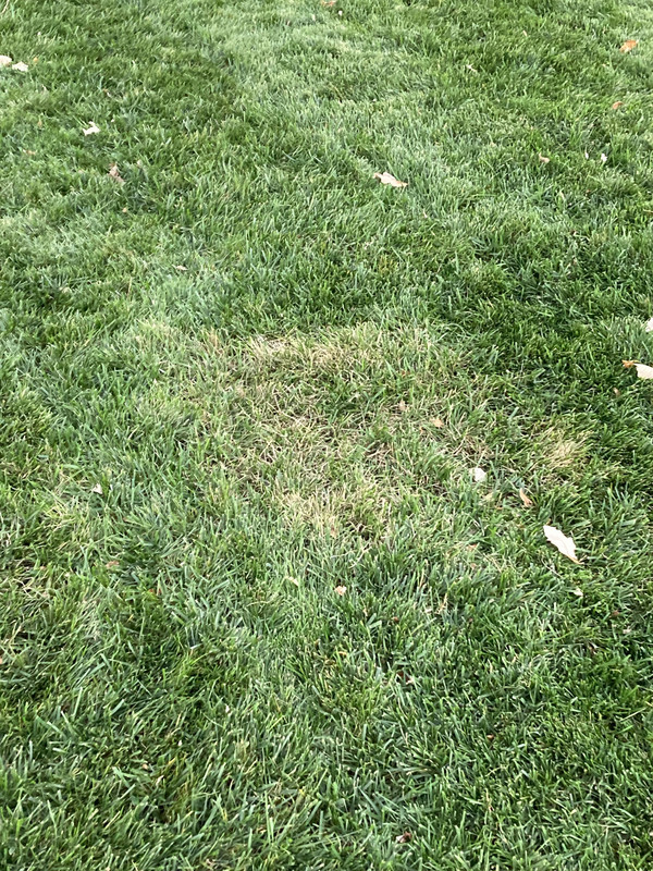 B03E5B81-1D90-4E53-A585-A595A2D2B4D7