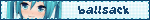 Alt Tag